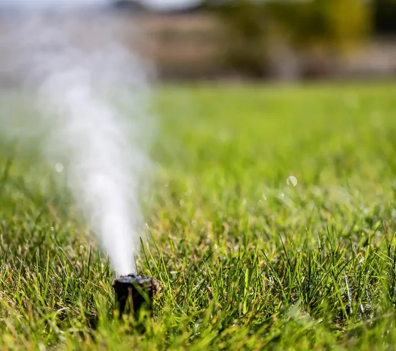 The Importance Of Having Your Sprinklers Blown Out