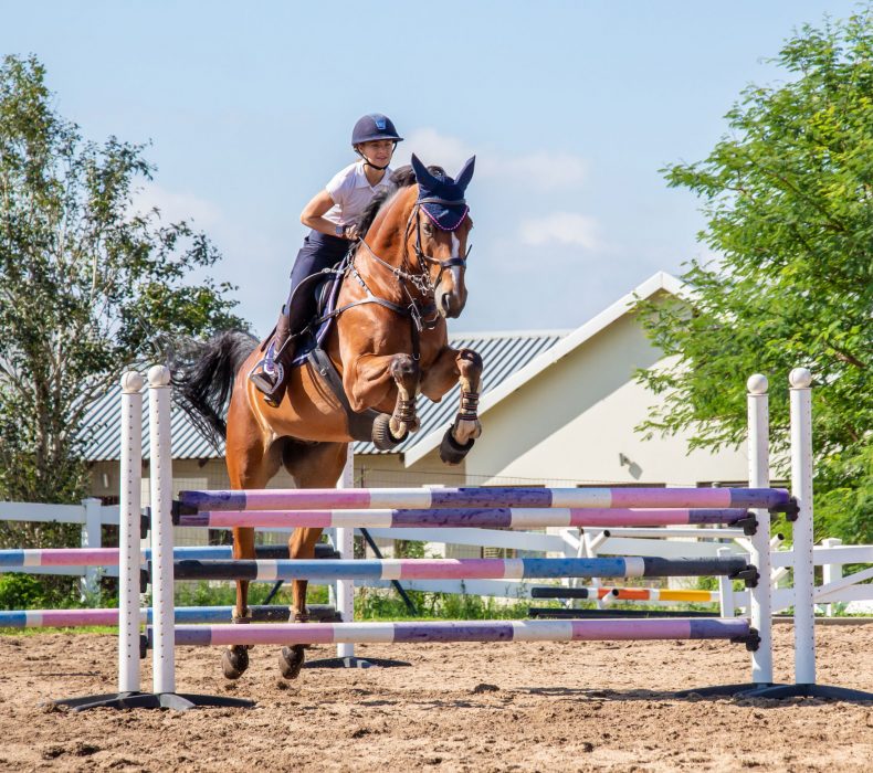 Pointers To Help Your Horse Jump Higher