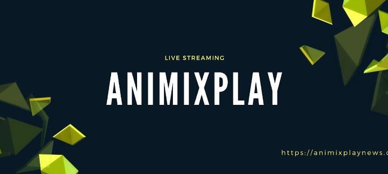 Is animixplay safe service to watch anime?