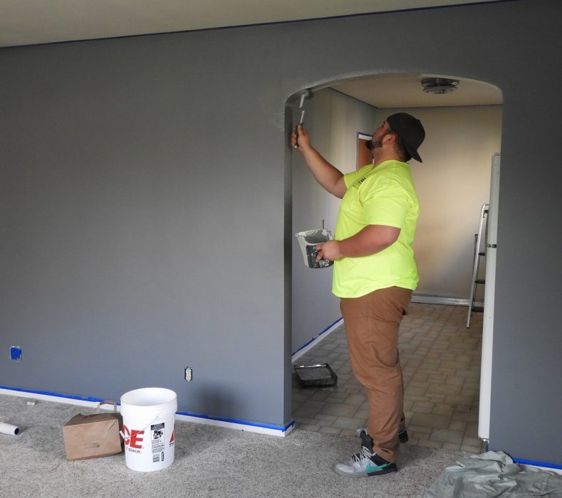 Top 10 Reasons Why To Choose A Professional House Painter To Paint Your Residential Home