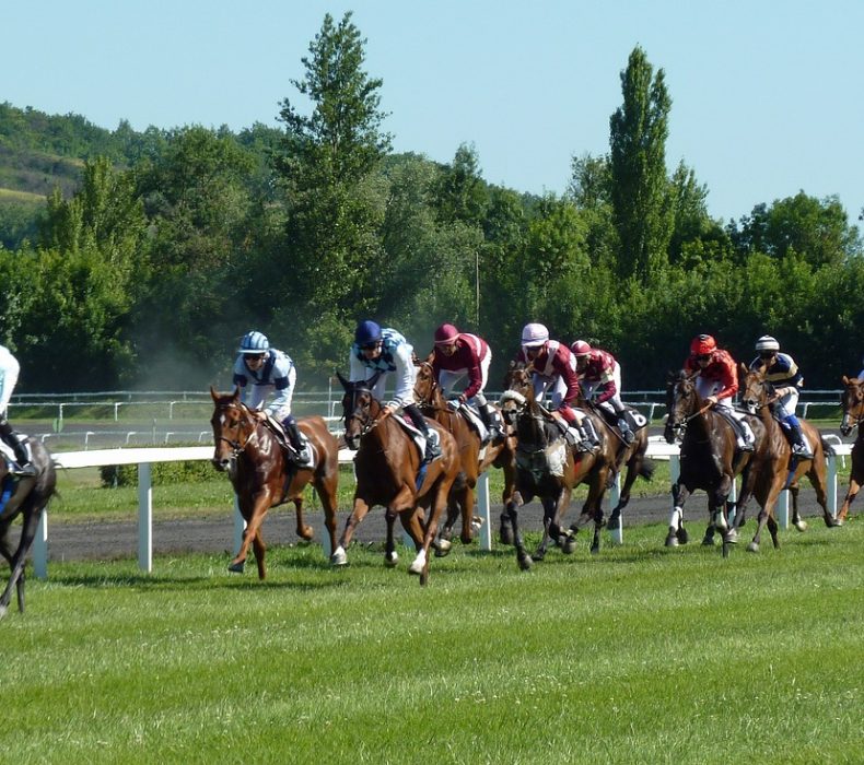 The Importance of Training and Conditioning in French Horse Racing